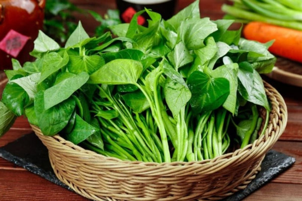 Cách Chọn Rau Lang Tươi Ngon