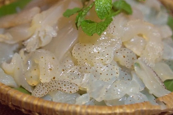 Cách chọn sứa tươi ngon