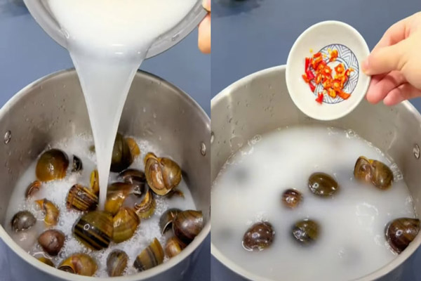 Cách Làm Sạch Ốc Nhồi Không Bị Tanh