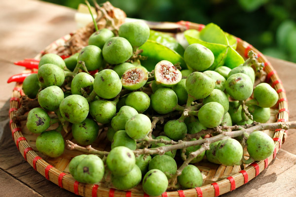 Cách Chọn Sung Muối Xổi