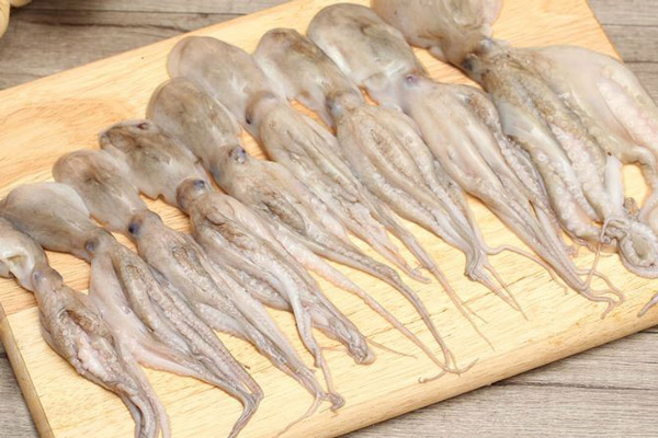 Cách chọn mua bạch tuộc tươi ngon
