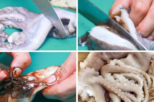 Sơ chế bạch tuộc